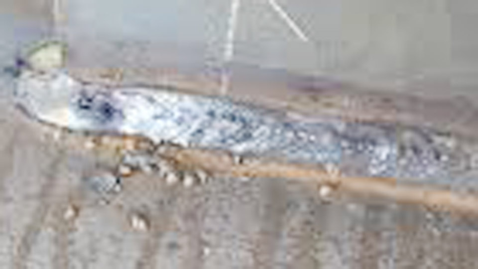 How to Prevent Arc Blow in Welding